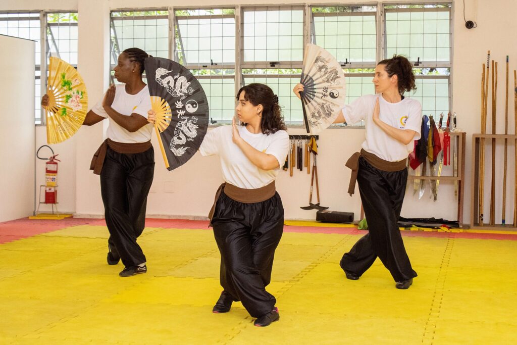 treine kung fu pratique arte marcial online web bh