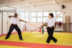 treine kung fu pratique arte marcial online web bh