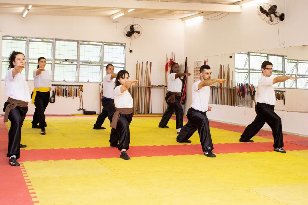 treine kung fu pratique arte marcial online web bh