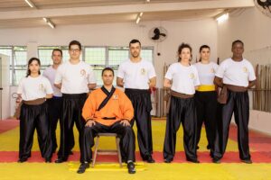 treine kung fu pratique arte marcial online web bh